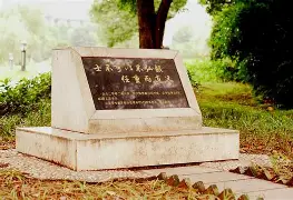 开云APP-勒沃库森不败纪录刷新
