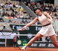 波尔图赛程比分