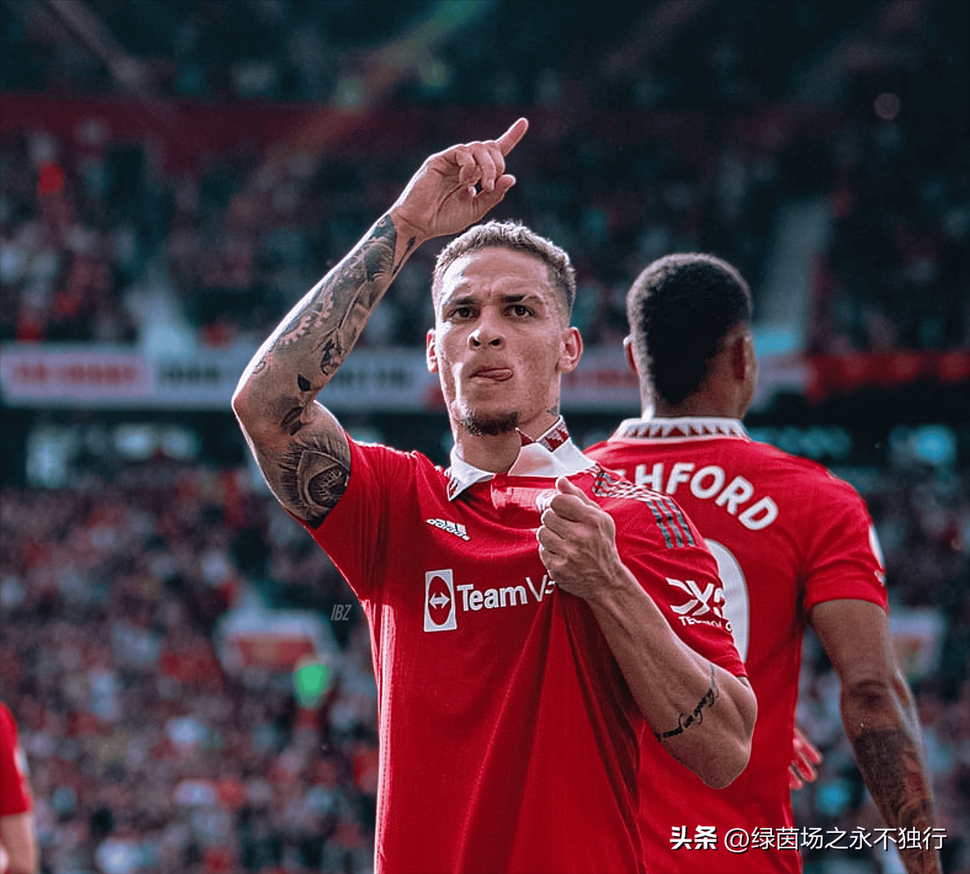 开云体育官网-纽卡斯尔主场不败率达7成